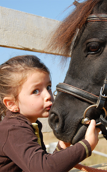 Bildausschnitt von Mädchen küsst Pony auf die Nüstern