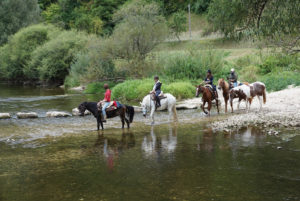 Gemeinsamer Ausritt mit Pferd durch reißende Flüsse – Horsia Ratgeber