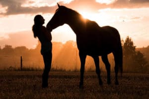 Ein schöner Sommer mit Ihrem Pferd: Tipps gegen Hitze und Insekten – Horsia Ratgeber