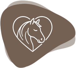 Horsia Info Persönliche Beratung Element