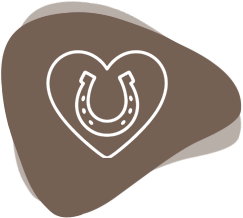 Infografik Hufeisen Info Grafik Hufeisen Tierbestattung