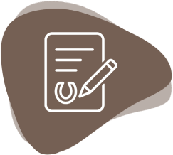 Infografik Notfallakte Daten