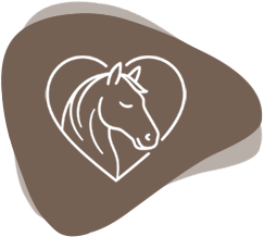 Infografik Pferdekopf